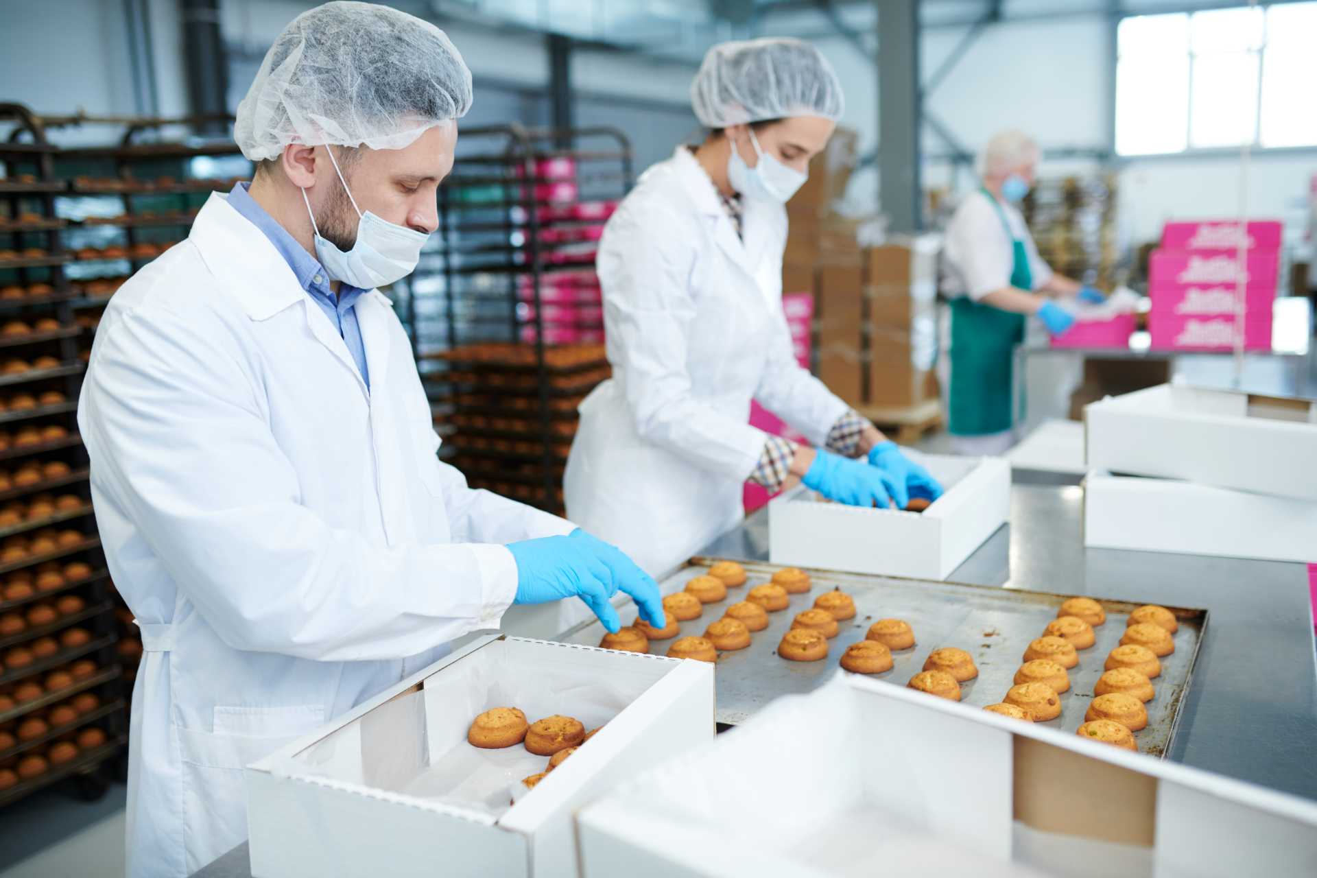 making food production efficient, Two workers working in a confectionery factory.